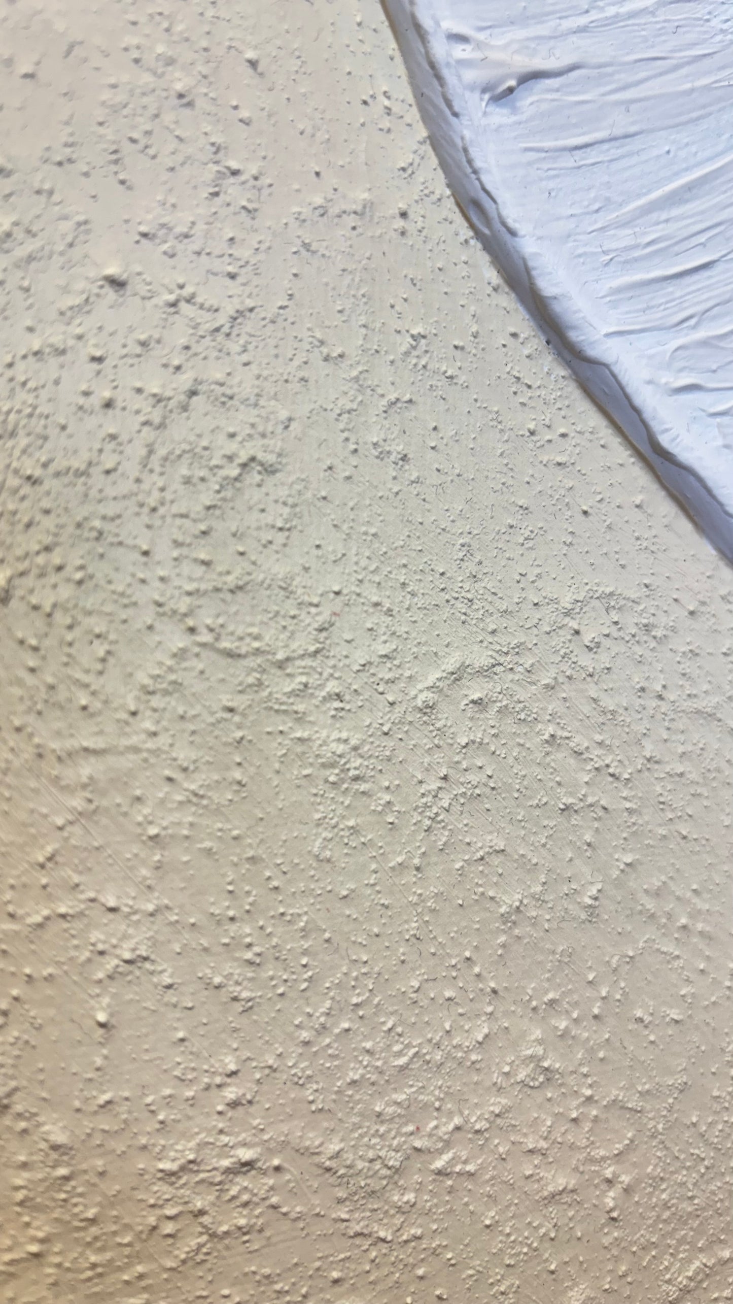 Zwischen Sand und Meer